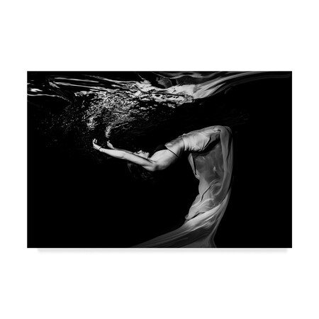 Trademark Fine Art Ken Kiefer 'Flow Water' Canvas Art, 30x47 1X07597-C3047GG